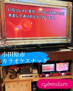 業務用カラオケ月極レンタル